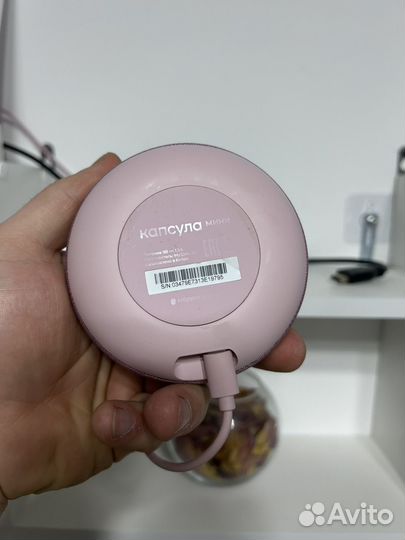 Vk капсула мини маруся