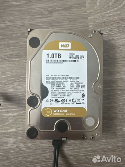 HDD WD Gold 1TB