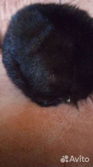 Кубанка норковая женская