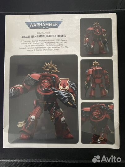 Warhammer 40000: blood angels brother Tyborel