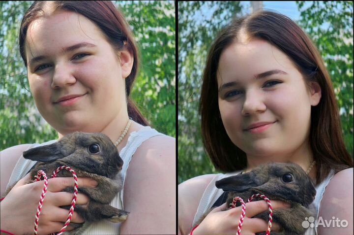 Сфотографирую ваших питомцев бесплатно