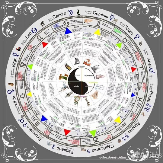 Астролог Ба Цзы Физиогномист психолог