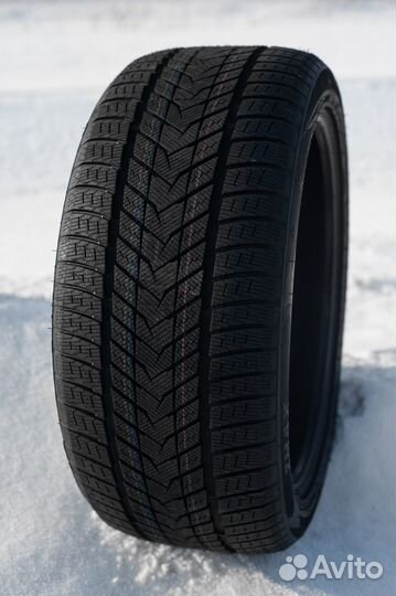 Zmax Winterhawke II 255/50 R20 109H