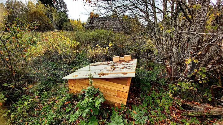 Дом 37,9 м² на участке 10 сот.