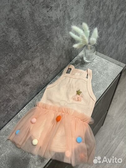 Одежда для собак