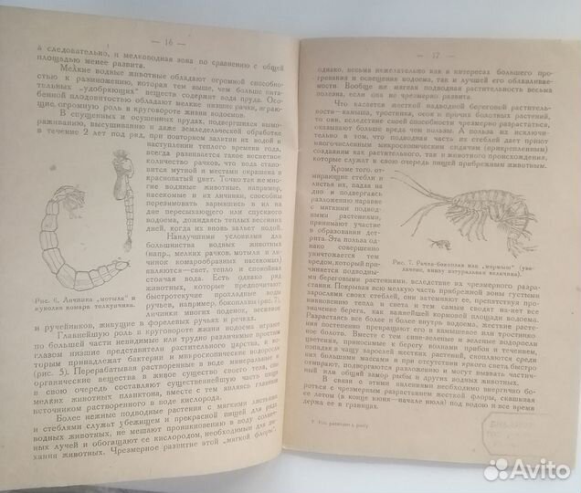 Ф.А.Спичаков как разводить и выращивать рыбу 1931г