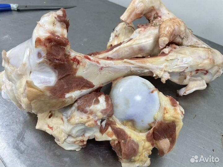 Лакомства для собак