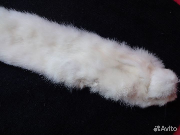 Шкурка горностая белая