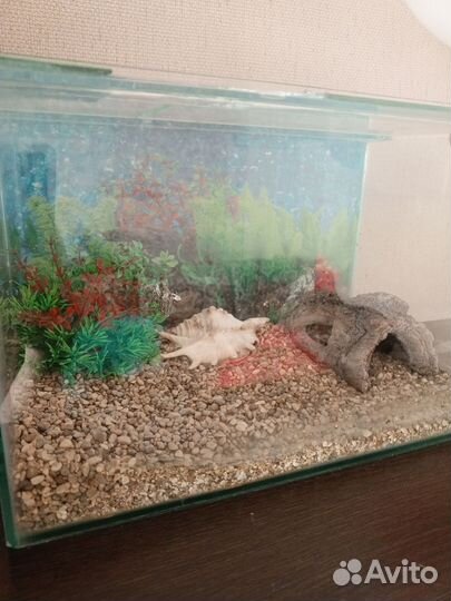 Продам аквариум