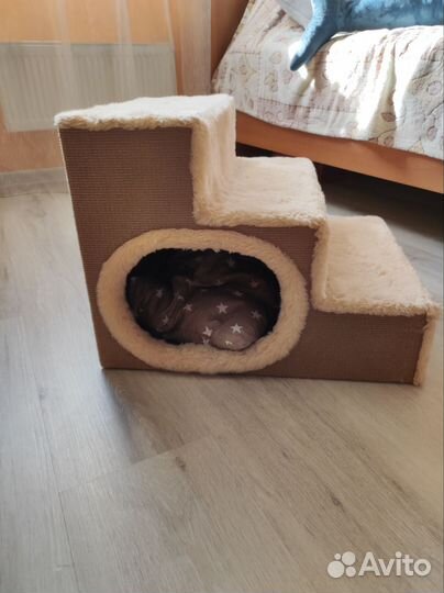 Лестница для кошек и собак