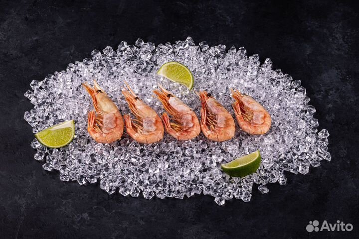 Креветка северная. Магаданская