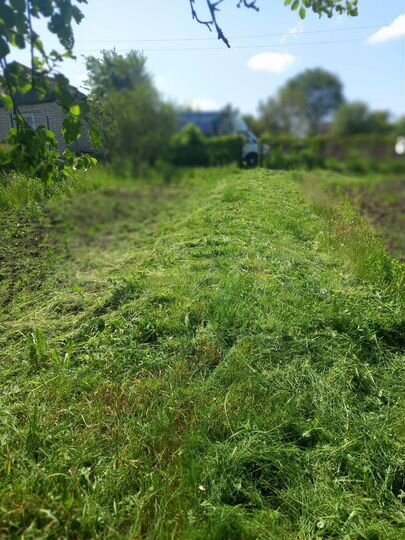 Дача 20 м² на участке 5 сот.