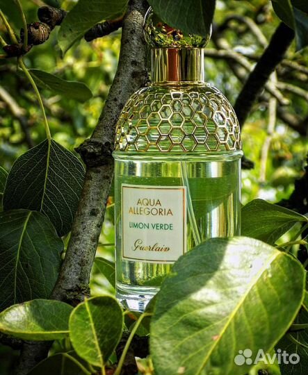 Туалетная вода guerlain Aqua Allegoria Limon Verde
