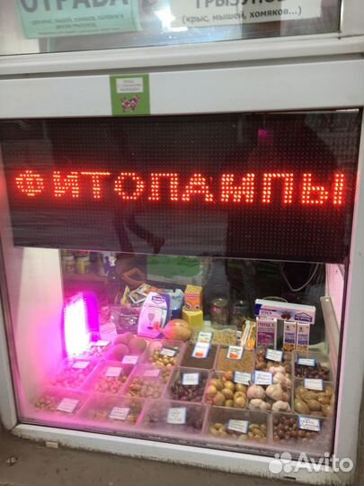 Фитолампы для растений