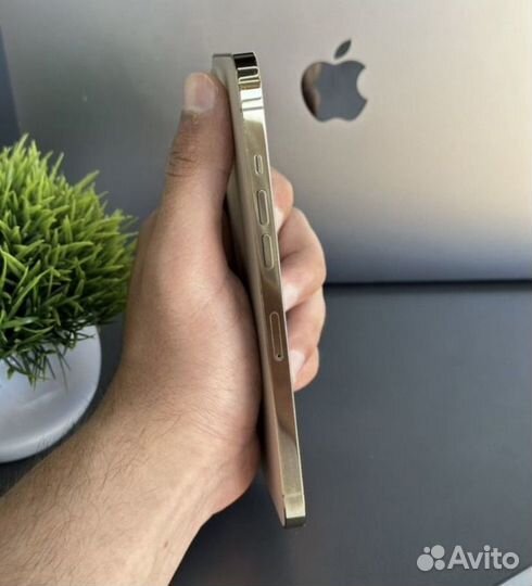 iPhone 12 Pro Max, 128 ГБ