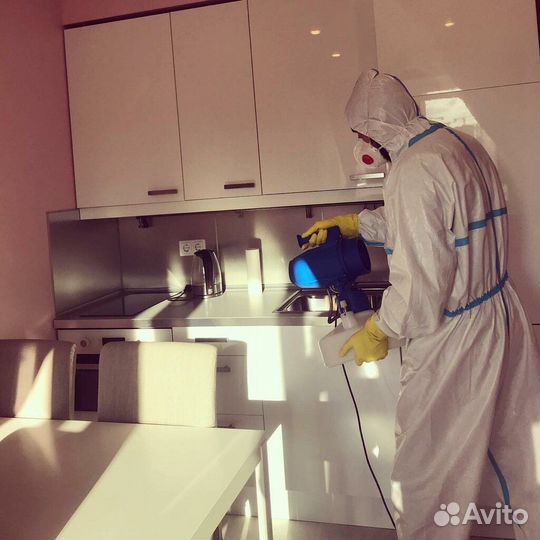 Уничтожим клопов тараканов клещей плесень запахи