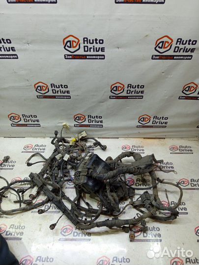 Проводка двс Kia Rio 3