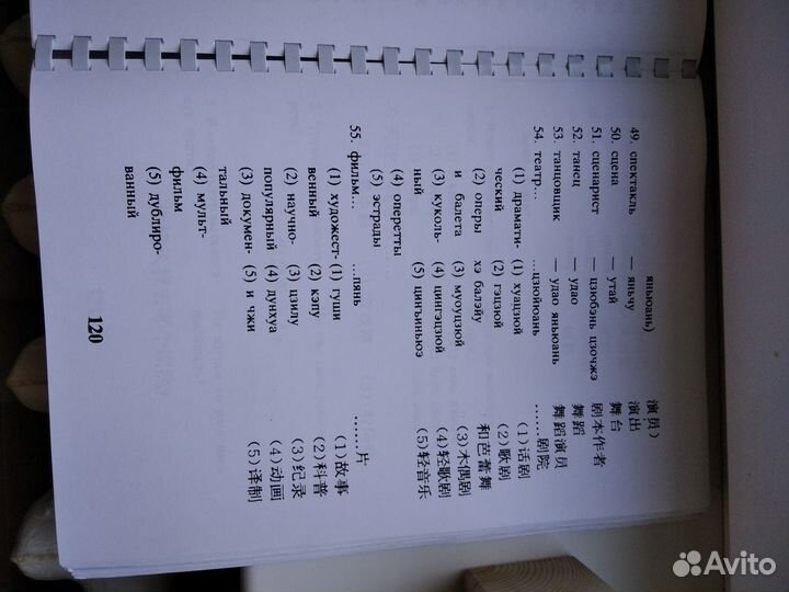 Русско-китайский разговорник ф.А4 256 страниц