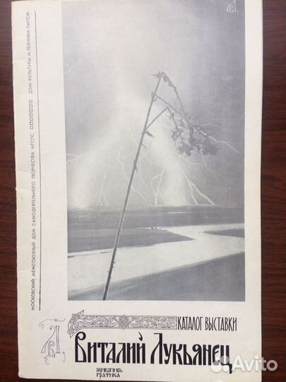 Виталий Лукьянец