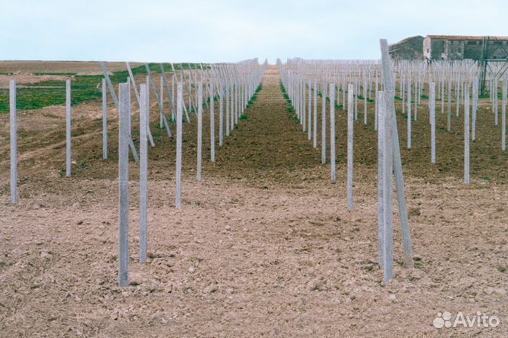 Виноградные столбики от производителя жби