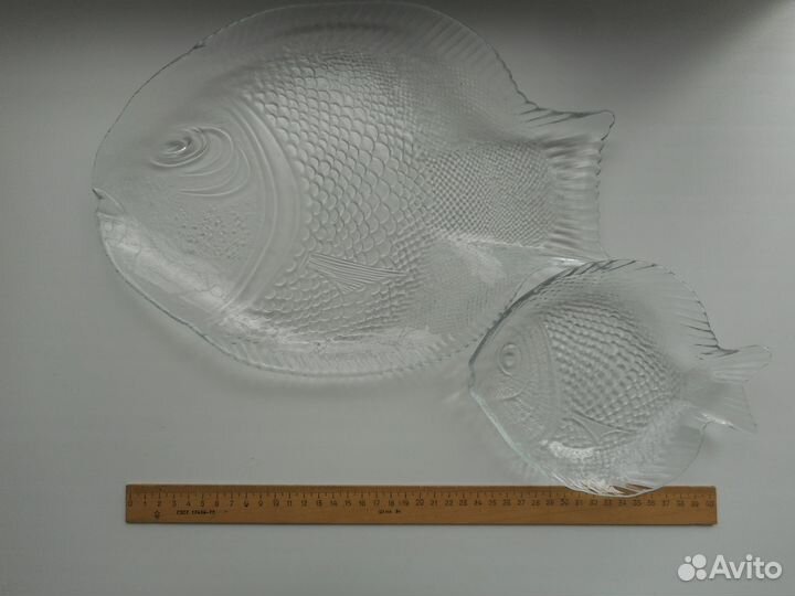 Рыбницы стеклянные