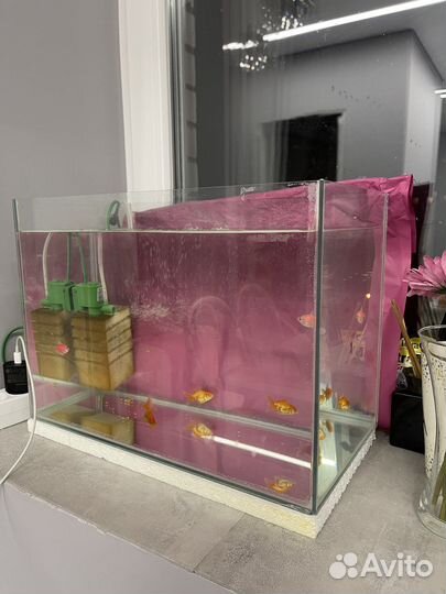 Аквариум 30л