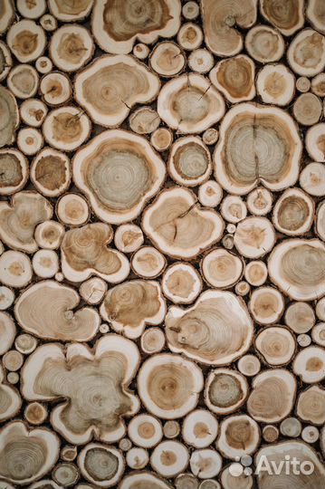 Панно из можжевельника 50*50 см