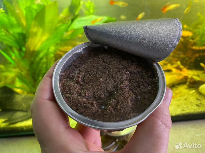 Артемия пастеризованная 100 гр