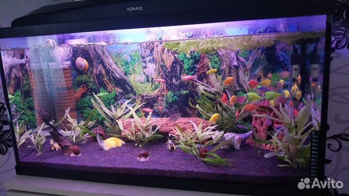 Аквариум