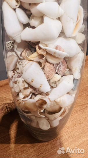 Вазы с ракушками