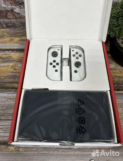 Nintendo switch oled