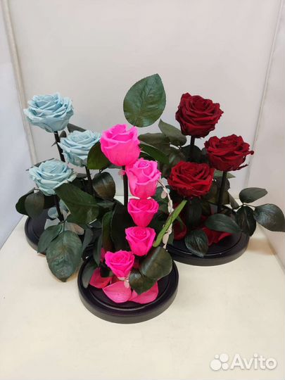 Роза в колбе