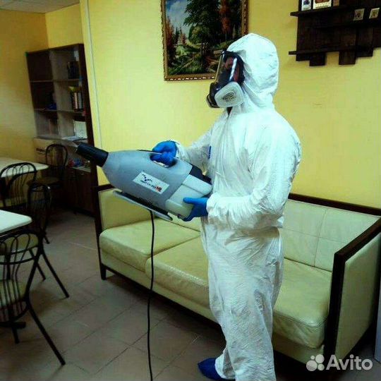 Дезинфекция