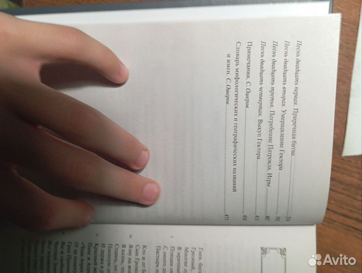 Книга 1 Гомер 