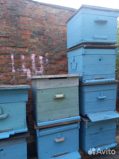 Улей дадан 12