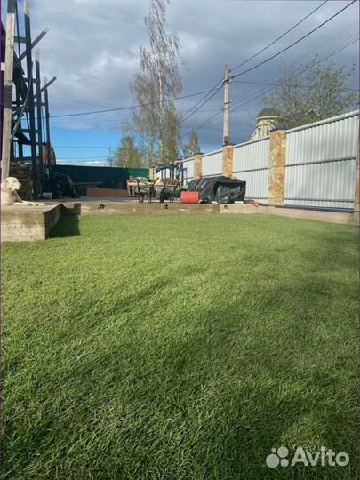 Рулонный газон