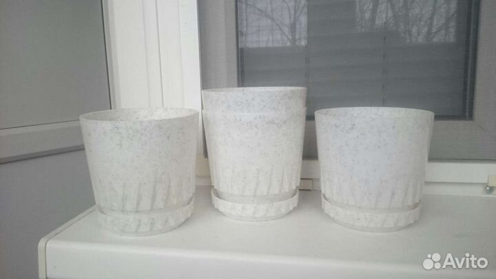 Сансевиерия цветочные кашпо горшки