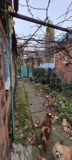 Дом 51 м² на участке 10 сот.