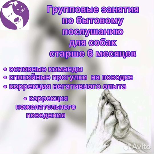 Грумер кошек, собак