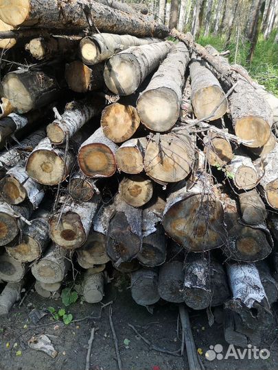 Лес кругляк пиловочник