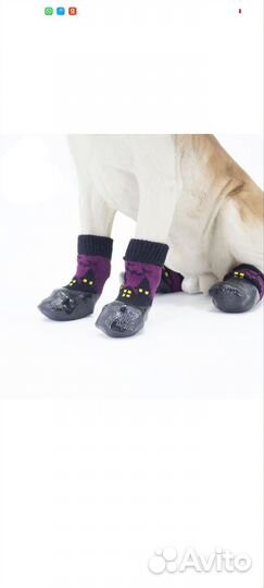 Носки для собак прорезиненные