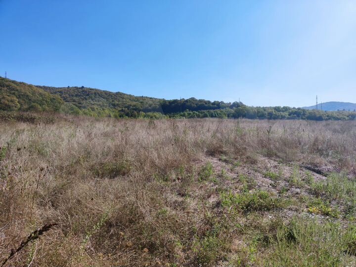 Участок 16 сот. (ИЖС)