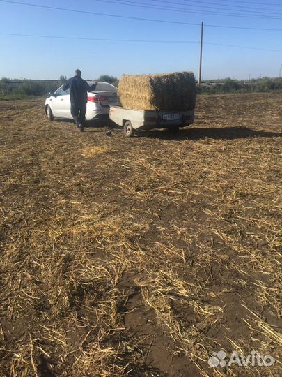 Сено Солома