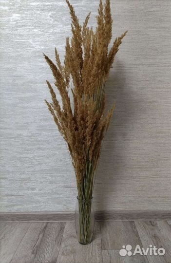 Декоративная трава с вазой