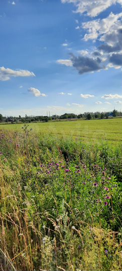 Участок 6,64 га (ИЖС)