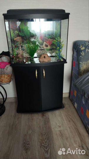 Аквариум 110 л. сферический