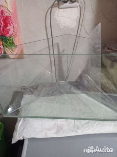 Аквариумные рыбки