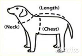 Дождевик для собаки среднего размера