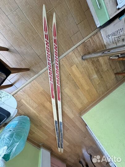 Беговые лыжи