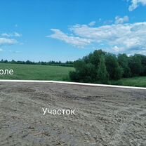 Участок 11,3 сот. (СНТ, ДНП)